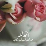 قُـطـوفهـا دانية