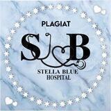 SBH PLAGIAT