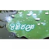 🌷🍀පිනිපලස🍀🌷