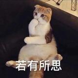 Applnn推送频道