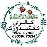 🐞گالری کفشدوزک🐞