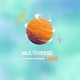多元宇宙实验室国际-ML FORUM🇨🇳