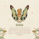 Diolies OPEENN