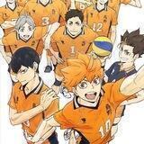 Haikyuu (ハイキュー) - Portal