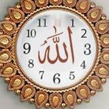 يآبــقية آلله في آرضـه 313