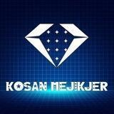 MEDIA PARTNER