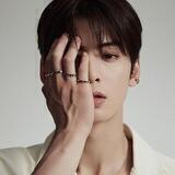 Cha Eunwoo