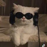 miawvpis