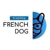 TBILISI_FRENCHDOG💻