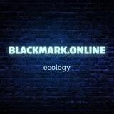 Blackmark.online (en)