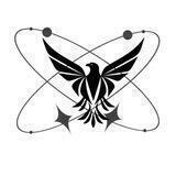 Falcon Orbit