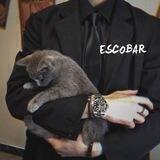 𝗘𝗦𝗖𝝝𝗕𝝠𝗥