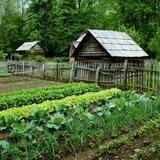 Survival Farming