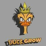 DUCK GROW