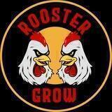 Rooster Grow Vietnam 🇻🇳