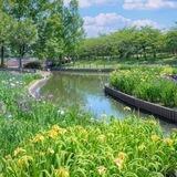 💐🌸أشتاق للجنة 🌸💐