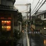夜に照らされる ; анкеты