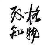 综合公告版