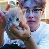 @.renpjun
