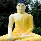 ධර්ම දාන🌸