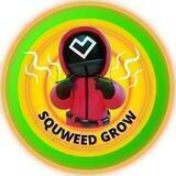 SquWeed Grow - Portal