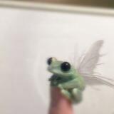 Fairy🧚🏻‍♀️