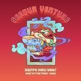 Shit Coin Venture( SEA OUR )