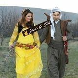 ✌️✌️کانال کوردستـــان ✌️✌️