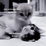 ʙиᴦуᴋᴇᴩы. ᴛуᴛ ʙᴀɯ ᴩᴀй.