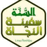 -السنَّةُ سفينة النجاة-