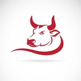 Bull Fighter / Signal Freee