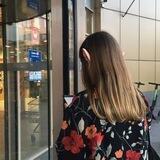 кінцева станція — шипшина