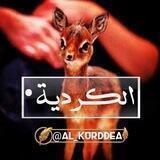 الكردية •