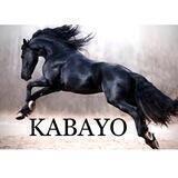 Kabayo