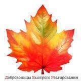 Добровольцы быстрого реагирования