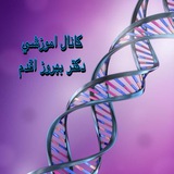 كانال اموزشي دكتربهروزاقدم