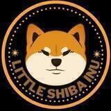 LITTLE SHIBA INU 🐶
