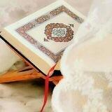 🌸القرأن الكريم 🌸