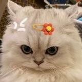 Adorable ♡.