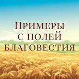 Примеры с полей Благовестия