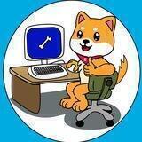 Doge Network (DONET) Official Token Chat | BSC