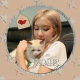( 🐈 )) k●n3ko ! !