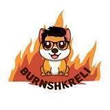 BurnShkreli Token ($BSI)
