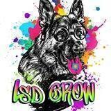 LSD GROW