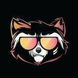 Rocket Raccoon ROC官方中文🇨🇳