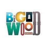 Курорт Большой Вудъявр | BigWood ski resort