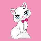 Shiro Cat