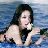 @ MdiyawakiSakura
