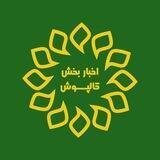 🌼اخبار بخش کالپوش🌼