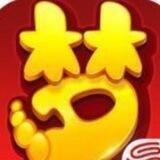 梦幻西游手游-全网独家私服